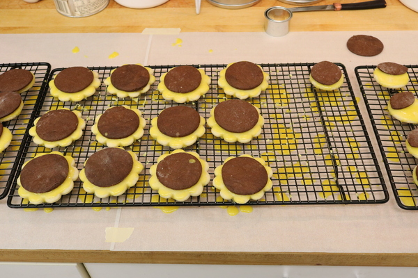 Eclipse Cookies 2