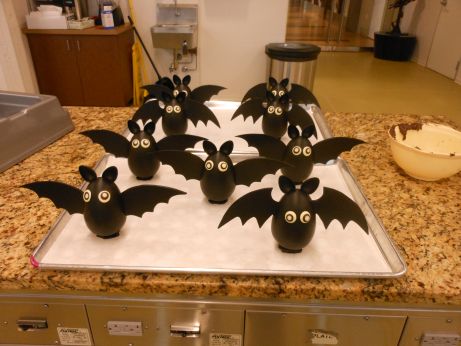 Bats